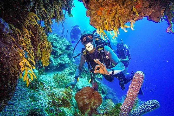 Scuba Diving at Catalina Island - 2 tank | 2 spots - What Your 11-Hour Day Really Feels Like