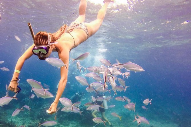 Scuba Diving at Catalina Island - 2 tank | 2 spots - Getting There and Getting Back: Punta Cana Transport Can Be Tricky