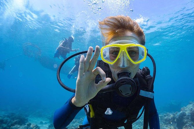 Scuba Diving at Catalina Island - 2 tank - for Certified Divers - Key highlights worth getting excited about
