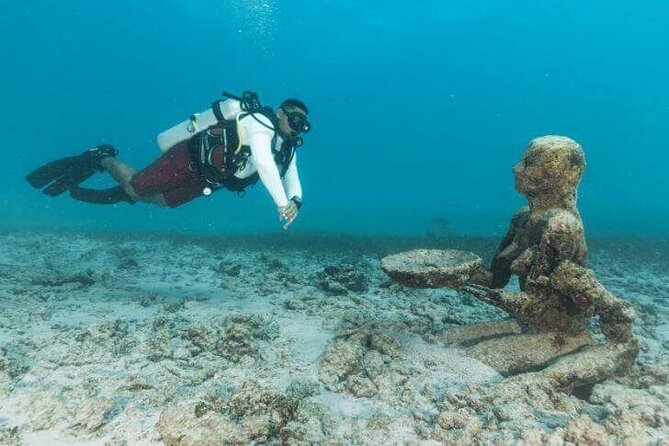 Scuba Diving at Catalina Island - 2 tank - for Certified Divers - Certification proof and how to prep for the long day