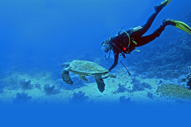 Scuba Diving at Jumeirah Dubai with Private Transfers - Why Jumeirah Beach Works for a First-Time Scuba Session