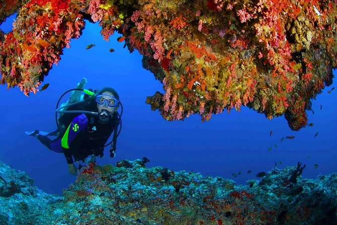 Scuba Diving at Jumeirah Dubai with Private Transfers - Group Size, Instructor Attention, and What That Means for You