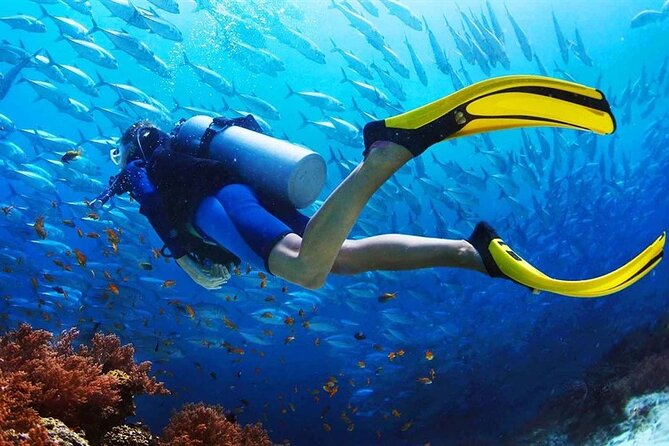 Scuba Diving at Jumeirah Dubai with Private Transfers - Scheduling Windows: When You Can Go