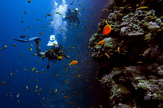 Scuba Diving at Jumeirah Dubai with Private Transfers - Private Transfers in Dubai: The Hidden Value
