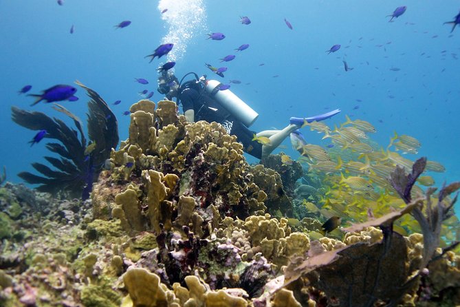 Scuba diving at MUSA the underwater museum for certified divers - Gear, Fit, and the Setup That Makes You Feel Ready