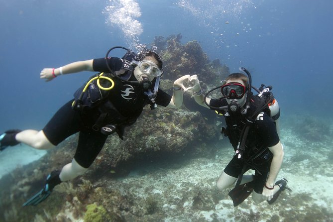 Scuba diving at MUSA the underwater museum for certified divers - Time Between Tanks: Snacks, Water, and Getting Your Bearings