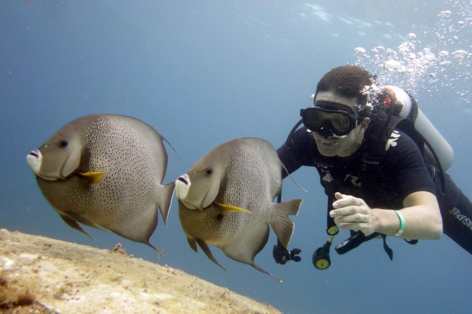 Scuba diving at MUSA the underwater museum for certified divers - Boat Day Reality Check: What 5 Hours Feels Like