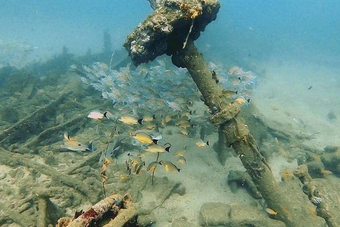 Scuba Diving at Unawatuna - Gear, Changing Rooms, and GoPro Photos That Save You Time