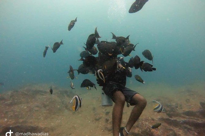 Scuba Diving at Unawatuna - Who This Is Best For (and Who Should Re-think)