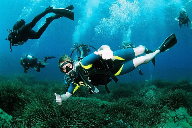 Scuba Diving Baptism and Snorkeling in Ibiza - Key highlights to know before you go