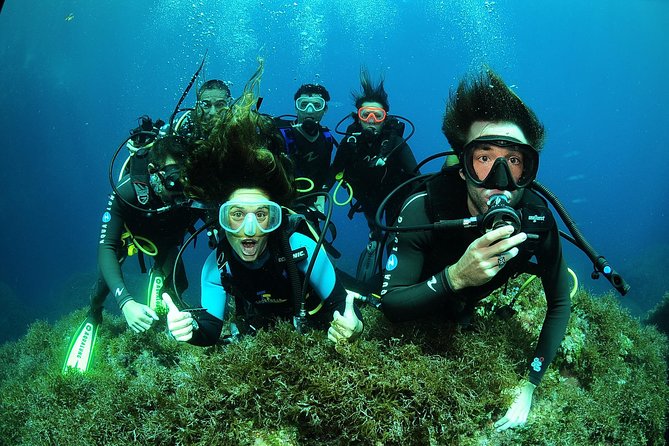 Scuba Diving Baptism and Snorkeling in Ibiza - Getting started at the Pier of Scuba Diving Boats in Sant Antoni