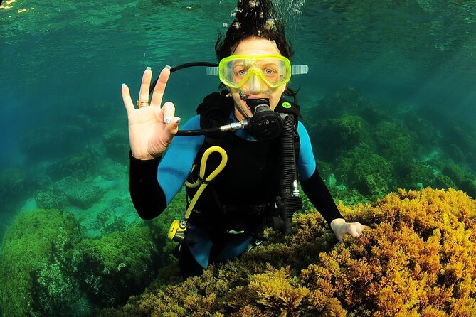 Scuba Diving Baptism and Snorkeling in Ibiza - The underwater plan off Ibiza: shallow start, circular route, max 8 meters