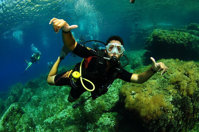Scuba Diving Baptism and Snorkeling in Ibiza - Marine life and the UNESCO seagrass meadow you’ll actually see