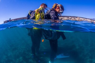 Scuba Diving Baptism Experience in Santa Cruz Tenerife - The Macaronesian Divers Meeting Point in Radazul (and What It Means for Your Day)