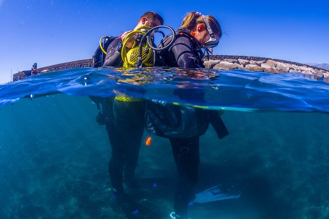 Scuba Diving Baptism Experience in Santa Cruz Tenerife - The Macaronesian Divers Meeting Point in Radazul (and What It Means for Your Day)