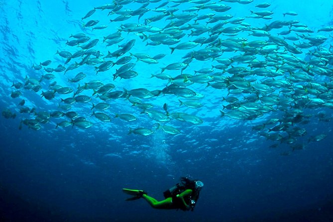Scuba Diving Baptism in Costa Teguise, Lanzarote - Who should book this (and who should skip it)