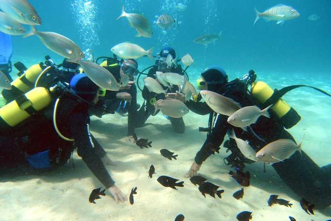 Scuba Diving Baptism in Costa Teguise, Lanzarote - Playa del Jablillo and the weather-dependent site choice