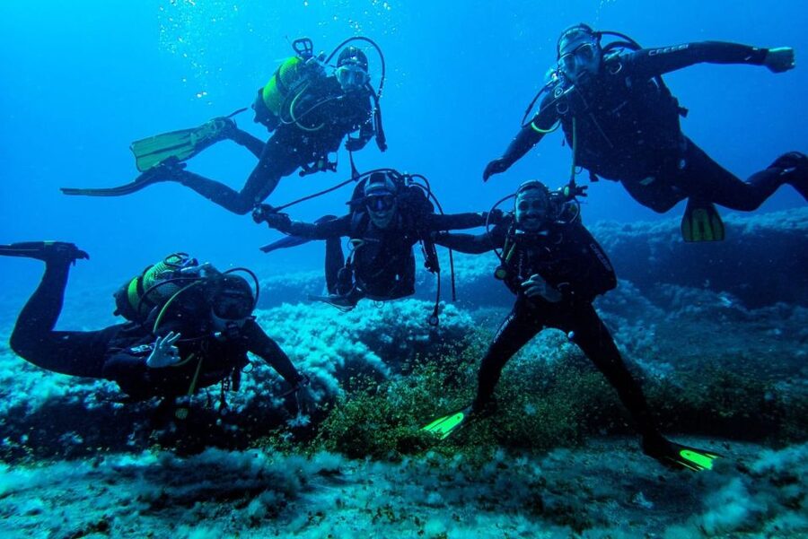 Scuba Diving Baptism in La Restinga - Price and value: is $77 a fair deal?