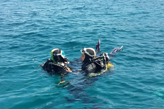 Scuba diving baptism - The baptism itself: breathing, sea life, and a guided 20 minutes