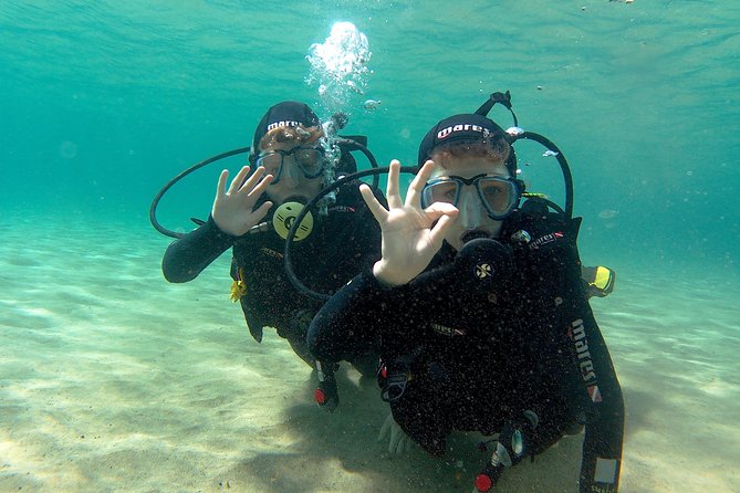 Scuba Diving (Basic Diver - 2 dives) - Instructor support and small group comfort (up to 8 people)