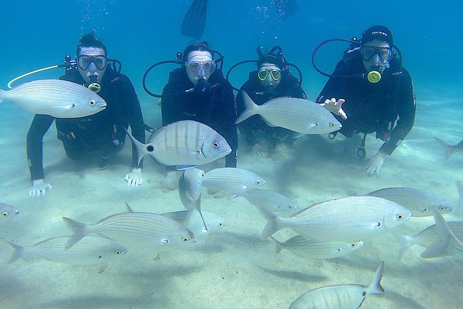 Scuba Diving (Basic Diver - 2 dives) - Price and value: what you’re really paying for