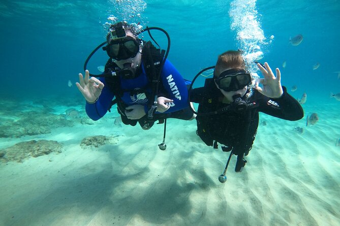 Scuba Diving (Basic Diver - 2 dives) - What to expect after your session