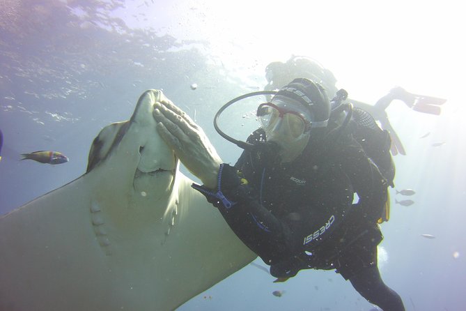 Scuba Diving Beginner's Session in Costa Adeje - Where Ocean Trek fits in Costa Adeje (and why that matters)
