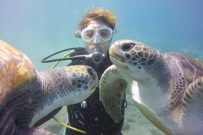 Scuba Diving Beginner's Session in Costa Adeje - The full flow: how the 4 hours usually run