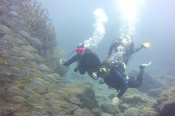 Scuba Diving Beginner's Session in Costa Adeje - What you learn as a total beginner (the skills that stick)