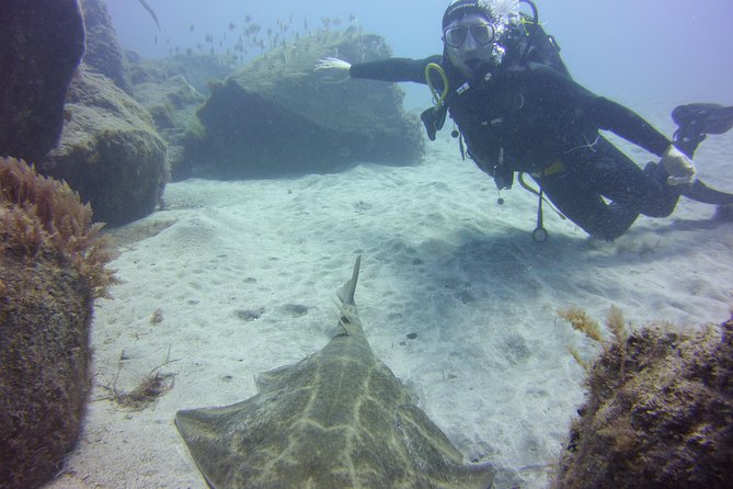 Scuba Diving Beginner's Session in Costa Adeje - Ocean visibility: why conditions matter (and how to stay happy)