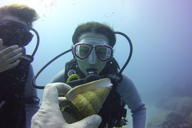 Scuba Diving Beginner's Session in Costa Adeje - Safety, fitness, and health checks (the non-negotiables)