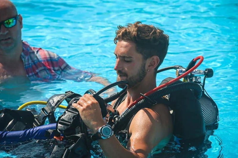 Scuba Diving Beginners/Experts Pefkos Lindos Rhodes Greece - What You’re Likely to See: Fish, Sea Grass, and Small Moments