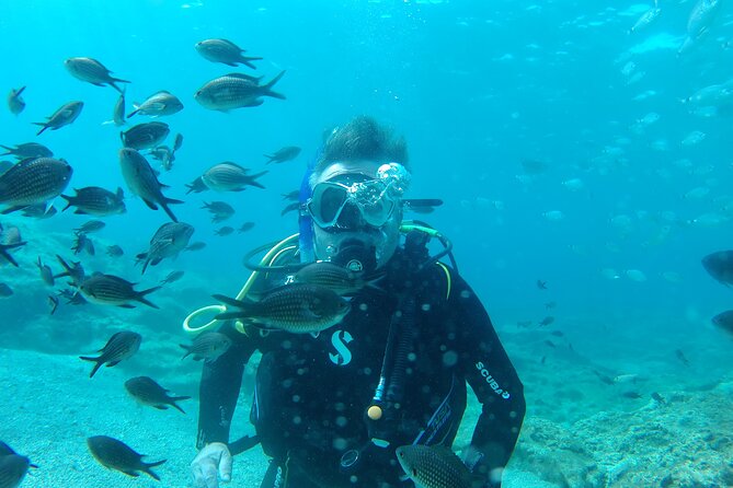 Scuba Diving Cyprus Experience Protaras and Ayia Napa & Turtles - Where the Protaras day starts (and how pickup helps)
