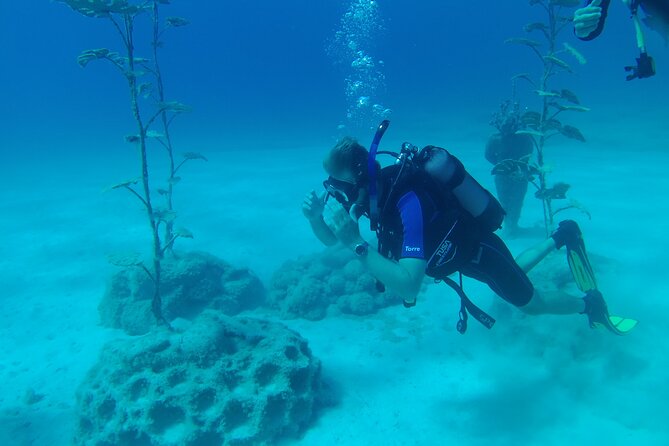 Scuba Diving Cyprus Experience Protaras and Ayia Napa & Turtles - The small things that can make or break your day