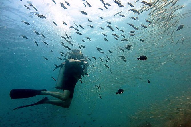 Scuba Diving Day Trip at Koh Chang – 2 Dives - Key takeaways before you go