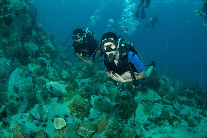 Scuba Diving Day Trip at Koh Chang – 2 Dives - What this 8-hour two-session underwater trip really includes