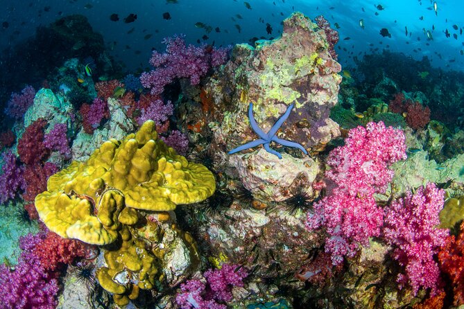 Scuba Diving Daytrip to Racha Yai - Snorkeling option: a second way to enjoy Racha Yai