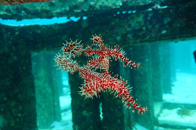 Scuba Diving Daytrip to Racha Yai - Boat comfort that matters on an 8-hour day
