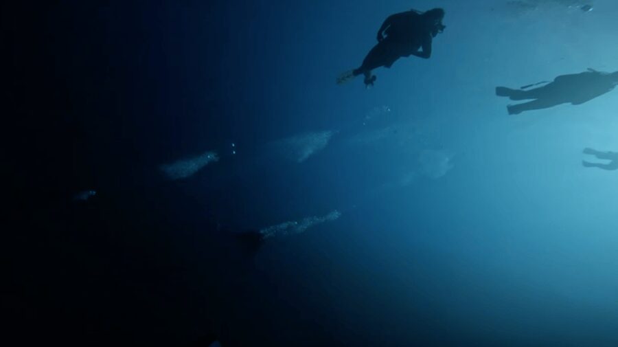 Scuba Diving - Dive for certified divers - Key Highlights You’ll Actually Notice