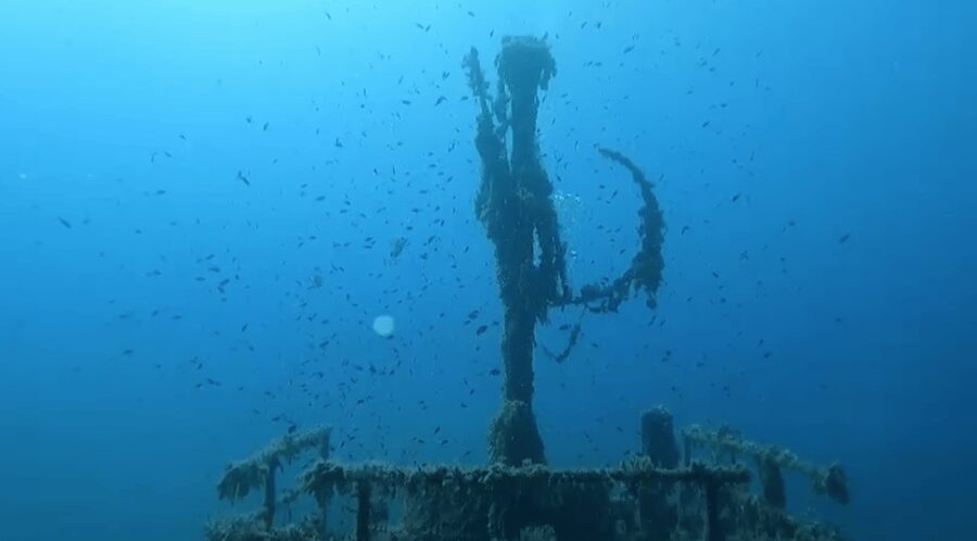 Scuba Diving - Dive for certified divers - Gear Rental and Prep: The Part That Makes or Breaks Comfort