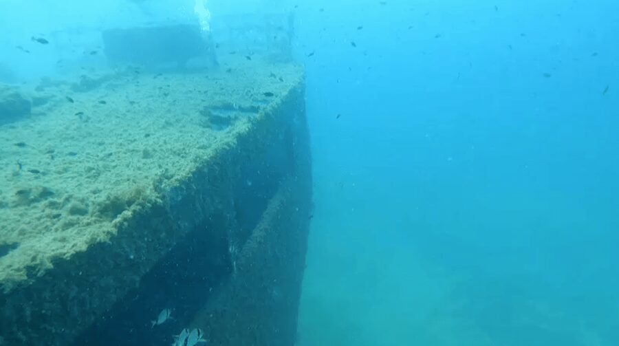 Scuba Diving - Dive for certified divers - Getting Picked Up: What Your Morning/Day Feels Like