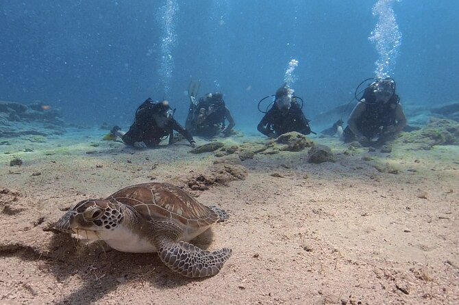Scuba Diving Experience (10+ Years) AND Free Edited Video - First-Time Scuba in Protaras That Feels Practical, Not Risky