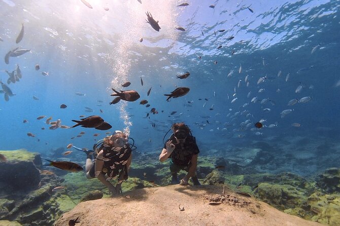 Scuba Diving Experience (10+ Years) AND Free Edited Video - What Happens Before You Go Under: Gear, Basics, and a Safety-First Pace