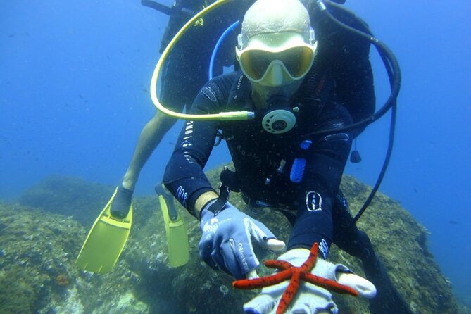 Scuba Diving Experience - Guides, gear, and that safe-first feeling