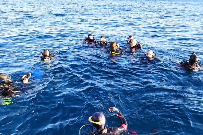 Scuba Diving Experience - Price and value: what $84.21 buys you