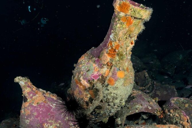 Scuba Diving Experience - Should you book Etna & Sea Excursions in Aci Castello?