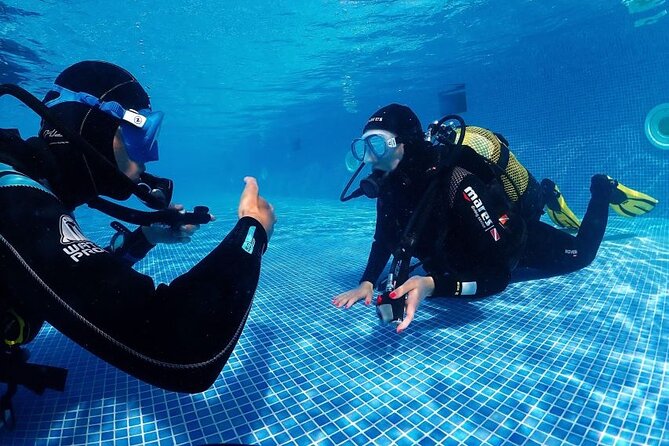 Scuba Diving Experience for Beginners in Ponta de São Lourenço - Max 12 meters: what you’re likely to see on the reef