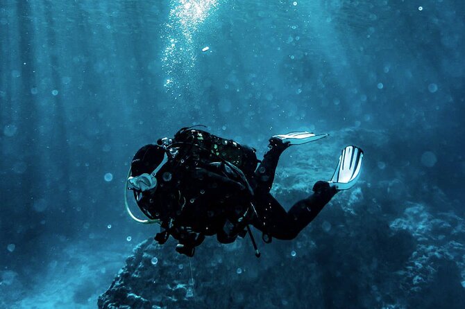Scuba Diving Experience in Alanya With Lunch and 2 Dives - What makes the team matter (especially for first-timers)