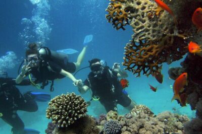 Scuba Diving Experience in Alanya With Lunch and 2 Dives - Price and what $40 actually covers