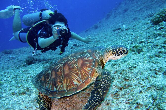 Scuba Diving Experience in Alanya With Lunch and 2 Dives - The crew matters: Barış and İslam in the real story
